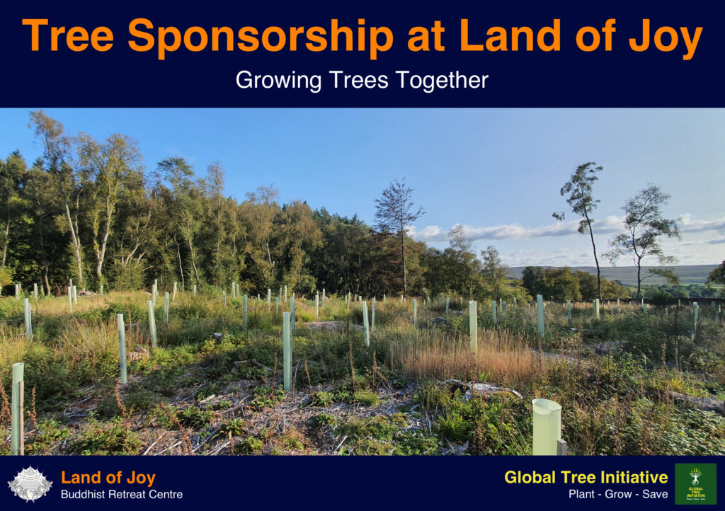 Sponsoring Trees Donation Page Version 2 (with card preview) Land of Joy