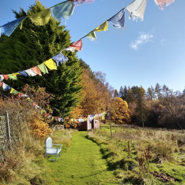 IMG_20201025_115016578_HDR-2-600×600